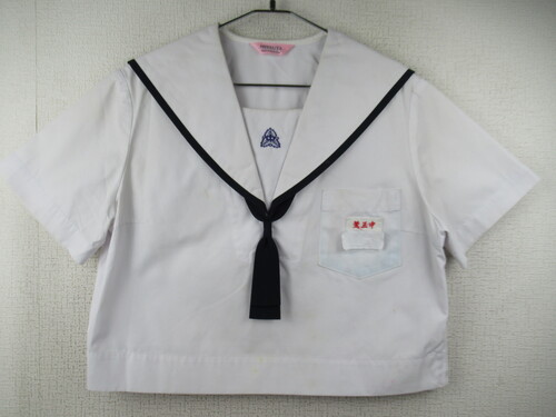 F{ 6922@230@傫ȃTCYIrOw ăZ[[㒅 ^Ct