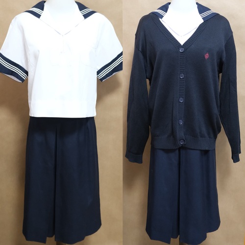 _ސ쌧 傫߃TCY  lwwZ@Z[[