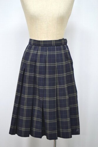  Zt ˍwZ ăXJ[g &1068