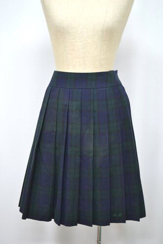  Zʌ {ꍂwZ ăXJ[g &1069