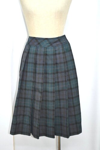  Zsize ʌ wZ ăXJ[g &1081