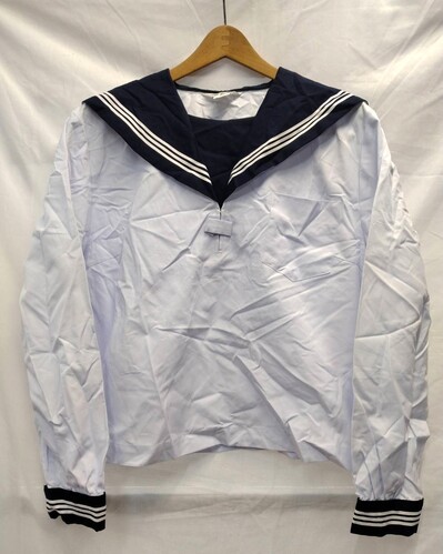 [s] yK3093zZs@Z[[@傫ȃTCY