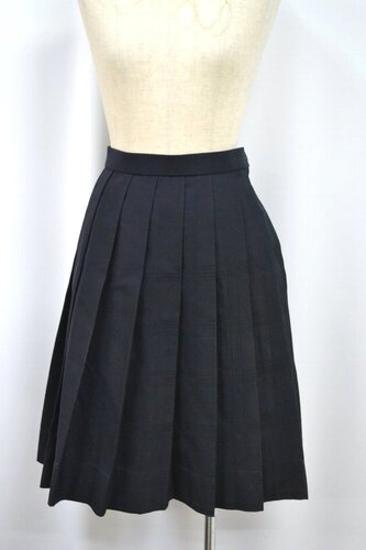  Zsize s r旧Z񒆊wZ ~XJ[g &1091