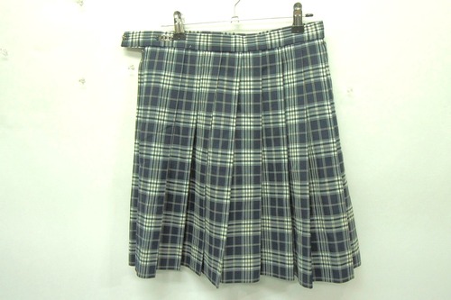  6039k _ސ쌧  JZ ~ v[cXJ[g TCYW66 q