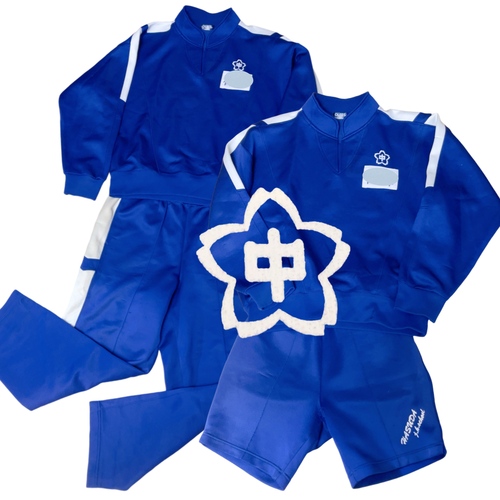 ʌ @cs@cwZ@̑@W[W㉺@Zp