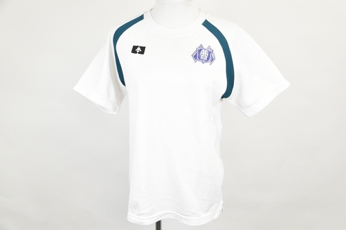 ꌧ ꗴJZ y̑z DESCENTE fTg /3767SE