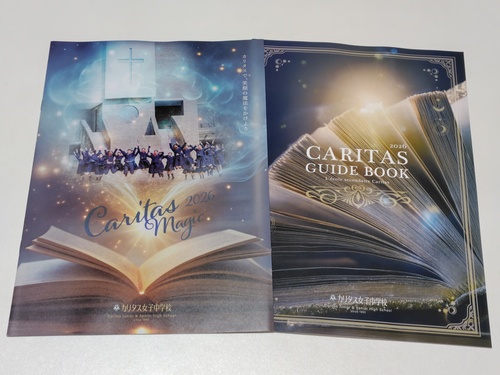 _ސ쌧 sZ[[Ղ聙tqZ J^XqwZ̍ŐVptbgi2026NxŁj