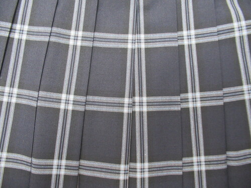  7078@410@z㐼Z ăXJ[g +O[{F `FbN