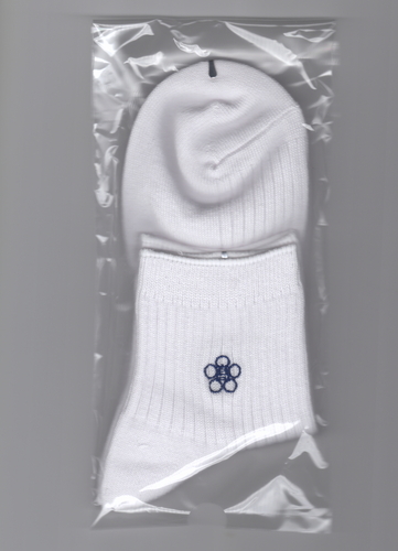 F{   ꍂZ^FV[g\bNXi13cmj@24`26cm@XN[\bNXqp