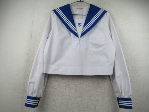 F{ 7096@270@傫ȃTCYIܗ쒆w ԃZ[[㒅 