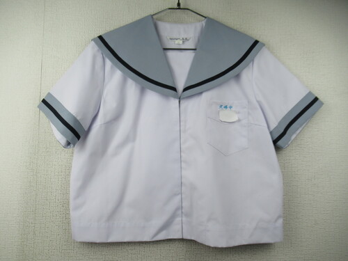 {茧 7106@250@傫ȃTCYIvw ăZ[[㒅 O[ OzbN gp