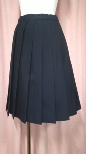 ꌧ ƍwZ 傫size Z XJ[g ~   13