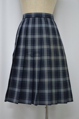  size ʌ ԍ瓿hwZ ăXJ[g NA0529