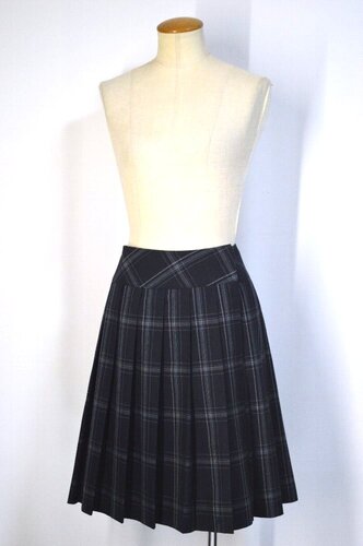  size W78 s Ȓ썂wZ ăXJ[gT5340