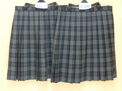 [s] 889傫TCYIlCr[`FbN@Fiq@v[cXJ[g@āE~̃XJ[g