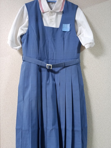 ������ �u�ƒ����@�u�Ɠ����w�Z�@���E�Đ����傫�߃T�C�Y[003091]