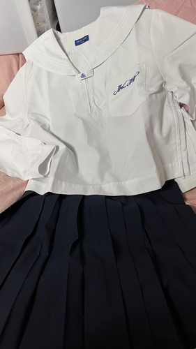 [s] s@ƉăXJ[g@N[jOς