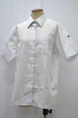  R b{鐼wZ uEX NA0540