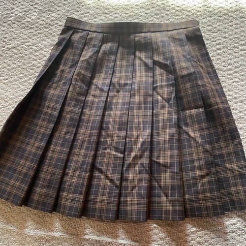 򕌌 傫TCY@ygˍZ@XJ[g