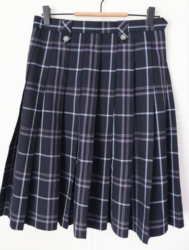 ʌ  VZ q  ĕ `FbNXJ[g