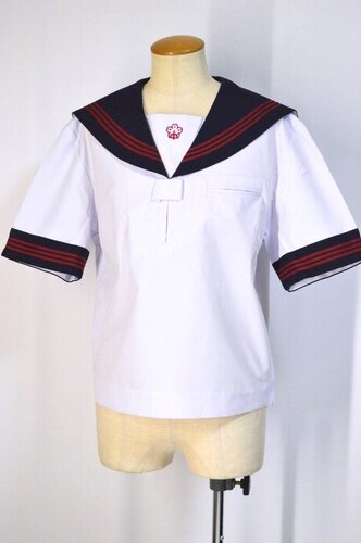  Ǖi size ʌ ܎sRwZ 3CZ[[ĕざT5391