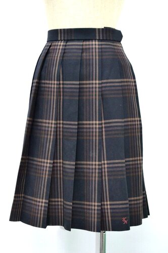  t ̗twZ ăXJ[g NA0543