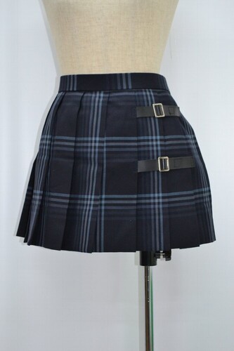  _ސ쌧 wZ ~XJ[g NA0546