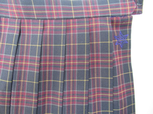 [s] 7210@570@傫ȃTCYI~XJ[g CAMPUSLIFE ԁ{{ `FbN