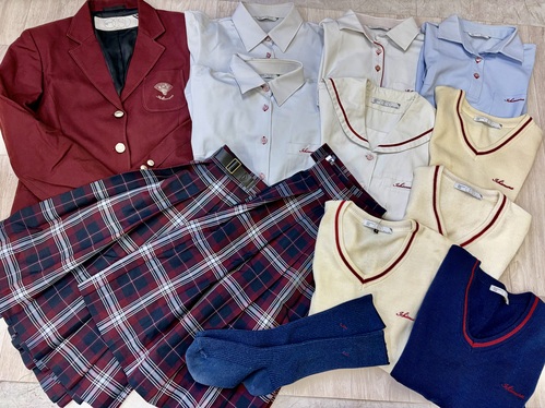 m s絍ZStZbg@傫߃TCY@{2t@wCt