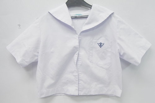  6119k 啪  cZ ĕ  wZ[[ TCY88-0(L)