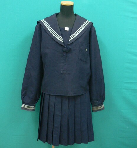 [s] #1184@O[3{C̓~Z[[@TCY7yTCYz