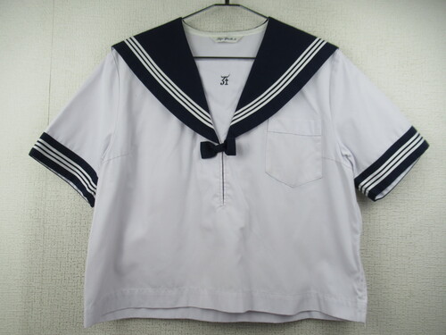 ���ꌧ 7256�@250�@�傫�ȃT�C�Y�I�L�����w �ăZ�[���[�㒅 ����