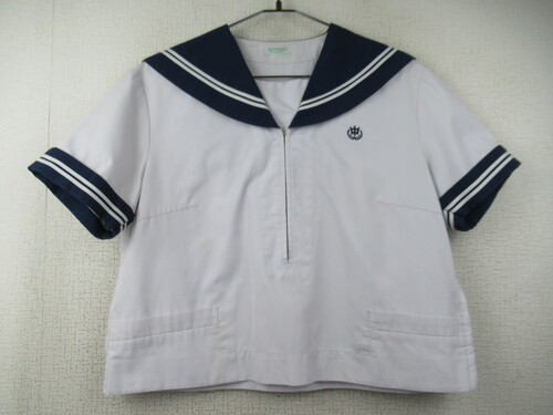 [s] 7262@260@傫ȃTCYIăZ[[㒅 horenso 