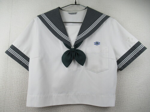 �F�{�� 7264�@260�@�傫�ȃT�C�Y�I���㒆�w �ăZ�[���[�㒅 �O���[�� �΃��{���t