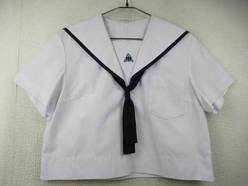 F{ 7272@230@傫ȃTCYIrOw ăZ[[㒅 ^Ct