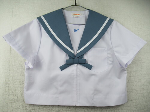 [s] 7286@240@傫ȃTCYIăZ[[㒅 TOMBOW O[ {t