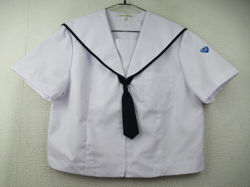 啪 7288@250@傫ȃTCYIAcw ăZ[[㒅 ^Ct OWbp[ gp