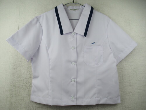 �啪�� 7301�@190�@�傫�ȃT�C�Y�I���쒆�w �ėp�w�����㒅 ���g�p