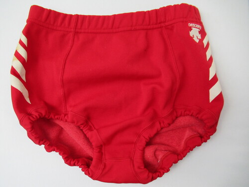 [�s��] 7304�@100�@�u���} �Ԃ�� �o���[�{�[���E�F�A DESCENTE DSP-60W �k ��