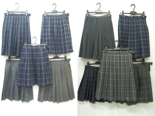  6127k 10Zbg ֓ _ސ쌧`쑍Z Ȃ w/Z ĕ/~ v[cXJ[g