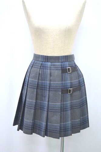  Z_ސ쌧 wZ ăXJ[g xg &1143