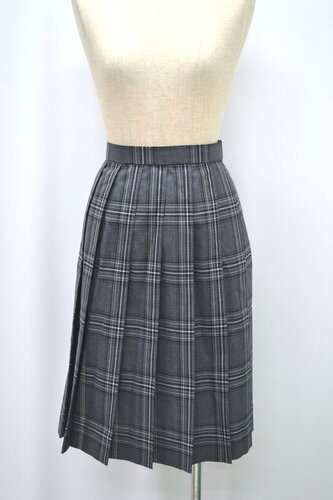  Zsize Ǖi ăXJ[g s &1146