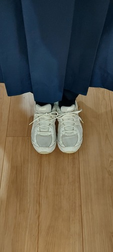 [s] s@wZ@q@ʊwV[Y@24.5cm