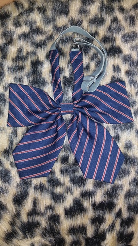 [�s��] ���{�� �s����