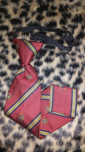 [�s��] �l�N�^�C �s����