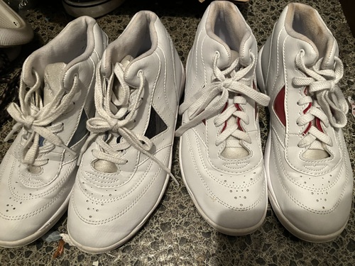 ���m�� S006�@�Ȗ،��@�F�s�{�Z����w�@���m���@����w�@��w�@�`�A���[�_�[�@�V���[�Y�@�X�j�[�J�[�@2���܂Ƃ߂�