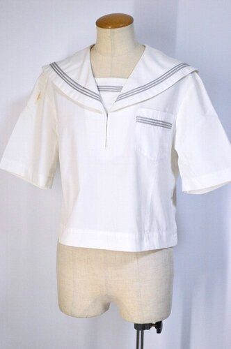  ���傫�� �Q�n�� ���������w�Z ���Z�[���[�ĕ��ざT5409