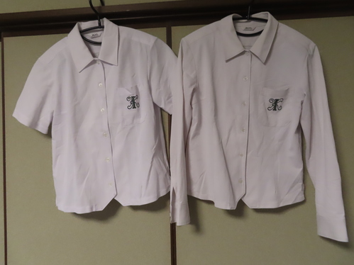 ޗǌ 傫TCY LL@ޗǌ@Z@ď㒅̂݁@Q_