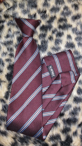 [�s��] �l�N�^�C �s����