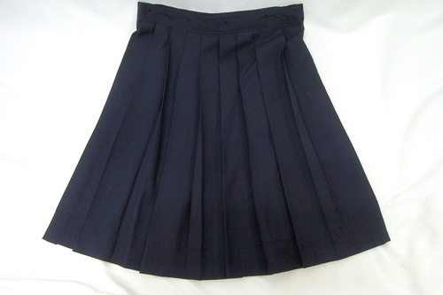  6166k TCY _ސ쌧  Xw VU ~ v[cXJ[g